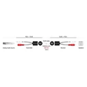 Αντάπτορας RCA Delock audio extender 87857 σε RCA, μέσω RJ45, έως 50m