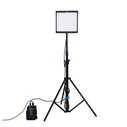 Nanlite PavoSlim 60B Bi-Color LED Video Light (Model 3981)