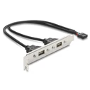DELOCK κάρτα επέκτασης USB 9pin σε 2x USB 2.0 91800