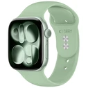 Tech-Protect Silicone Apple Watch 8 / 9 / 10 / 11 / 12 / SE 40/41/42 mm Pistachio