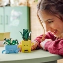 LEGO Botanicals 10349 Happy Plants