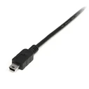 Καλώδιο USB A σε USB B Startech USB2HABM1M Μαύρο