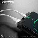 Καλώδιo USB Lamtech Type-C V2,0 HIGH QUALITY UNBREAKABLE SILVER 2M