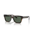 ARNETTE Men's Sunglasses AN4334-122271 Dark Havana frame / Dark Green lenses