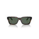 ARNETTE Men's Sunglasses AN4334-122271 Dark Havana frame / Dark Green lenses