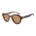 Γυναικεία Γυαλιά Ηλίου Giorgio Armani Ar8172U596953 (46/24/145 mm) Brown