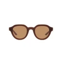 Γυναικεία Γυαλιά Ηλίου Giorgio Armani Ar8172U596953 (46/24/145 mm) Brown