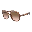 Γυναικεία Γυαλιά Ηλίου Armani Ar8193U603351 (55/17/140 mm) Brown