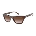 Γυναικεία Γυαλιά Ηλίου Emporio Armani Ea4169-591013 (54/17/140 mm) Brown