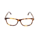 ERMENEGILDO ZEGNA Men's Eyeglasses EZ5062 55/14/145 Brown
