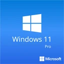 Software Microsoft Windows 11 Pro FQC-10528, 64Bit, ENG, Intl 1pk, DSP, OEI, DVD
