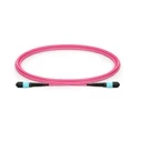 Network Cables Fiber Patch Cable 12 cores MTP UPC MTP UPC female W126918125