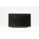 Lenovo Display 11.6 inch FHD Non Touch Anti Glare TN 250nit 45 percent NTSC