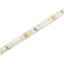Ταινία LED Avide 12V 12W 4000K IP65 5m