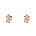 Γυναικείο Σκουλαρίκια Lancaster Jla-Ear-Frog2 (1,2Mm) από Ασήμι White/ Ip Pink