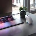 White Shark Gawain Wireless Gaming Mouse 12000 DPI White (WMG-5023)