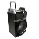 Karaoke Aiwa Portable TROLLEY RMS 80W 'THE THUNDER'
