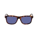 Αντρικά Γυαλιά Ηλίου Lacoste L6014S-214 (55/19/145 mm) Brown