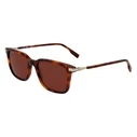 LACOSTE Men's Sunglasses L6035S (53/18/145) - Brown lenses, Acetate frame