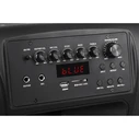 AZUSA Active Speaker 12" DM-0135EU 40W with 2 Wireless Microphones, SD, Bluetooth, USB