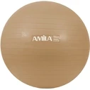Μπάλα Γυμναστικής Amila 48410 Φ55cm