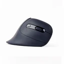 Ποντίκι Ασύρματο Gembird Ergonomic Wireless 6-Button Optical Black
