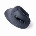 Ποντίκι Ασύρματο Gembird Ergonomic Wireless 6-Button Optical Black