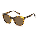Polaroid Women's Sunglasses PLD4110/S/X 086 – Brown Polarized Lenses, Acetate Frame (51/20/145 mm)