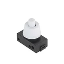 Switch T55 2A/250V on/off