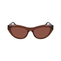 Γυναικεία Γυαλιά Ηλίου Ferragamo Sf1103S551723 (55/17/140 mm) Brown