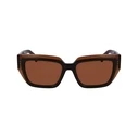 Γυναικεία Γυαλιά Ηλίου Ferragamo Sf2002S-233 (55/18/140 mm) Brown