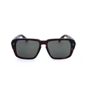 Αντρικά Γυαλιά Ηλίου Philipp Plein Spp081-0722 (55/17/145 mm) Brown