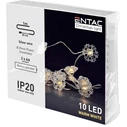 Χριστουγεννιάτικα Λαμπάκια Entac Εσωτερικά Πλαστικές Νιφάδες 10 LED Θερμό 1μ (2xAA Δεν περιλαμβ.)