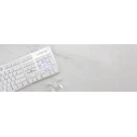 Gaming Πληκτρολόγιο White Shark Led Keyboard Gk-003241 Tachi Us Layout White