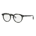 Philipp Plein Men's Eyeglasses VPP060V (49/21/145) - Acetate Frame