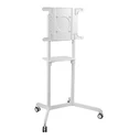 Vivolink VLFS3770 Wall TV Mount White