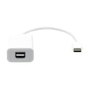 Proxtend USB-C to Mini DisplayPort (Mini DP) Adapter 20 cm White