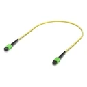 Ubiquiti Καλώδιο Οπτικής Ίνας MTP/MPO MP‑MP 0.5 m (MPN: UACC-OFC-SA-MPMP-0.5M-10)