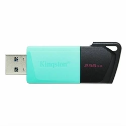 USB Flash Kingston DTXM/256GB Μαύρο 256 GB 