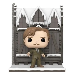 Funko Pop! Deluxe: Harry Potter Chamber of Secrets Anniversary 20th - Remus Lupin with the Shrieking Shack #156 Vinyl Figure