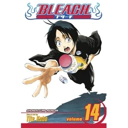 Viz Bleach Vol. 14 Paperback Manga