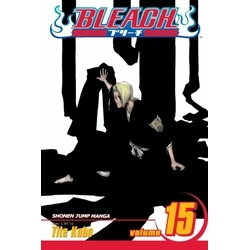 Viz Bleach Vol. 15 Paperback Manga