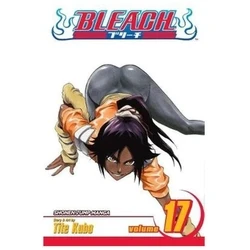 Viz Bleach Vol. 17 Trade Paperback Manga