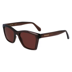 Salvatore Ferragamo Unisex Γυαλιά Ηλίου με Καφέ Σκελετό και Καφέ Φακό SF2001S 232