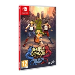 NSW Double Dragon Gaiden: Rise of the Dragons