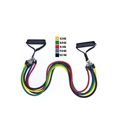 Full set of resistance bands for full-body workout (5 resistance bands with handles)