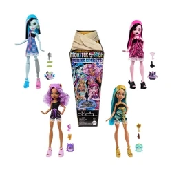 Κούκλα Mattel Monster High Buried Secrets Mystery Dolls (Random) (HYV64)