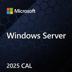 Λογισμικό Microsoft Windows Server CAL 2022 Client Access License (CAL) 1 license(s)