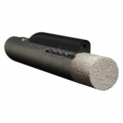 Μικρόφωνο Aston Starlight instrumental