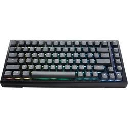 Πληκτρολόγιο Gaming Ducky Tinker 75 USB US English Black